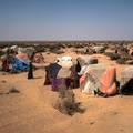 Crne posljedice: Topliji planet povećat će broj tražitelja azila