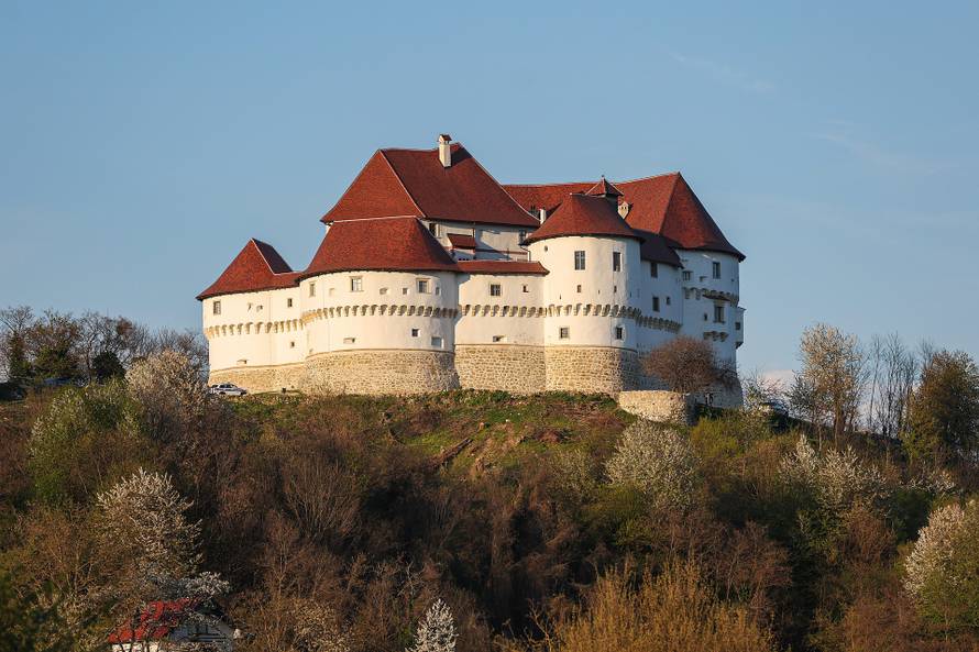 Kod Dvora Velik Tabor top usmrtio muškarca