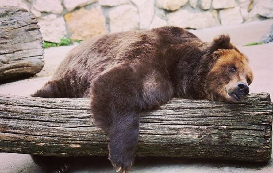 Luka Nižetić: 'Zbog mode sam u školi sjedio u mudantama...'