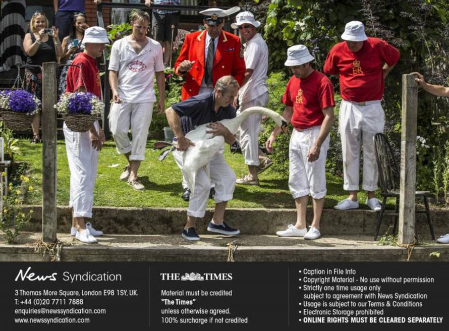 News Syndication/PIXSELL