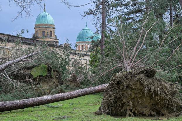 Zagreb: U nevremenu teško  oštećeno gradsko groblje Mirogoj
