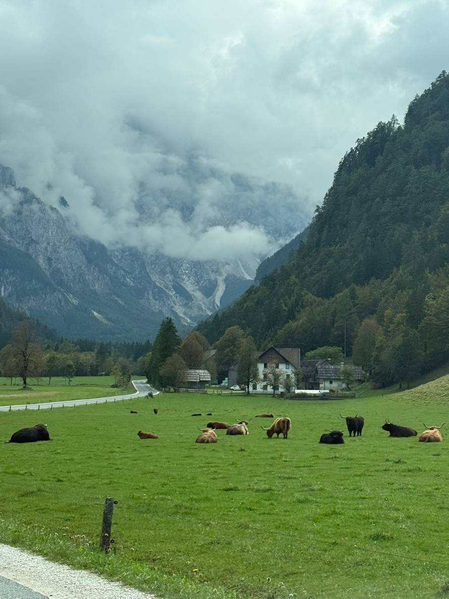 Bijeg u zeleno srce Slovenije: Proveli smo vikend u drvenoj kolibi u kampu tik uz Savinju