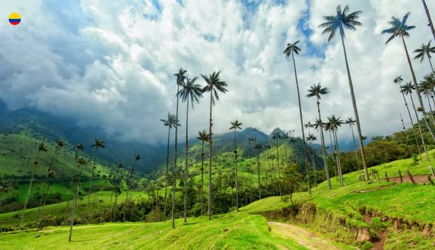 FOTO Katedrala od soli, kava i  mračna narko-prošlost: Jeste li znali ove stvari o Kolumbiji?