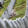 Svjedočanstvo iz Srebrenice: 'Mislili su da su sve poubijali. Leševe su bacali u branu'