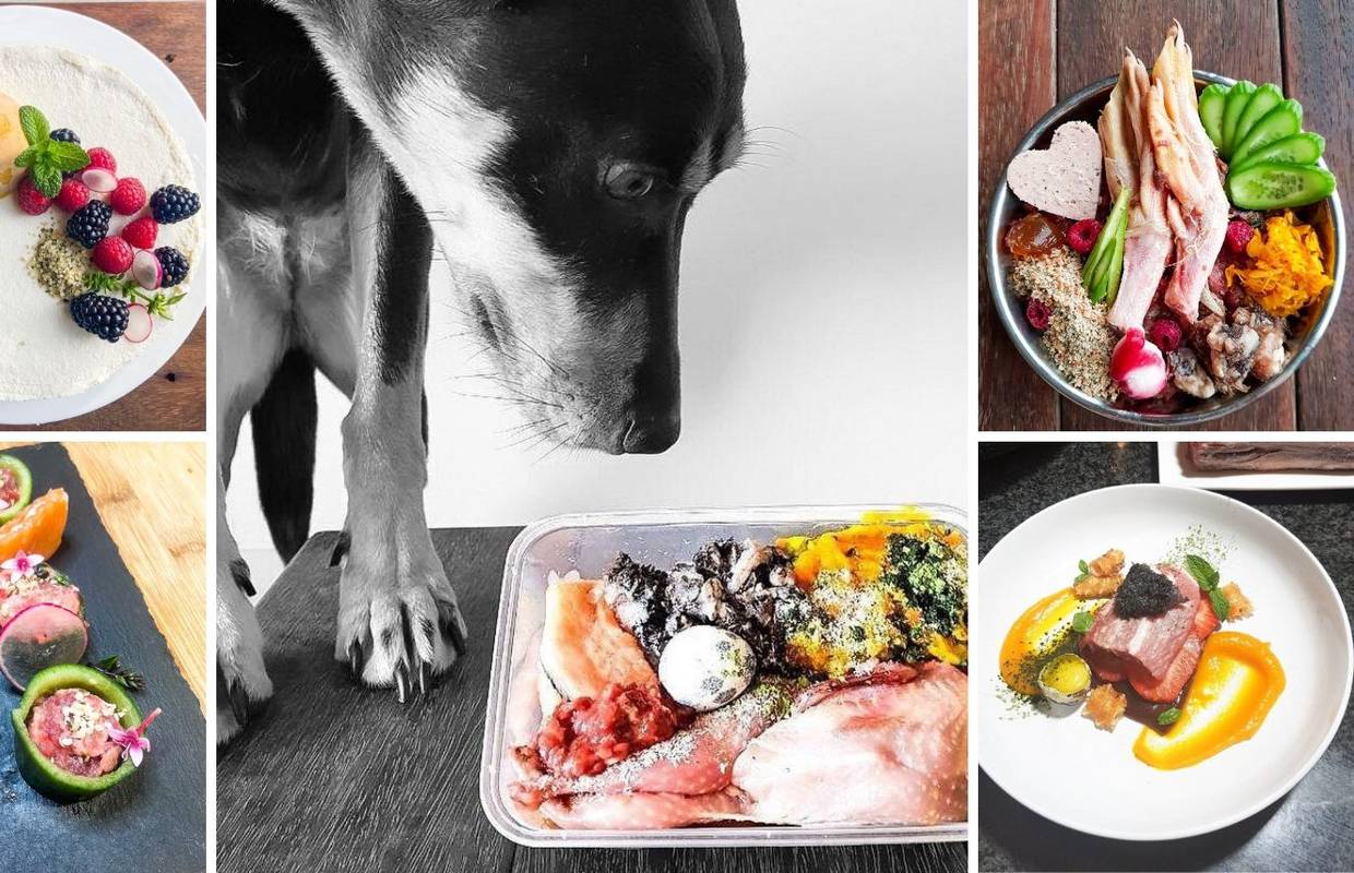 Njegovi psi jedu kao kraljevi: Svaki dan im priprema obroke