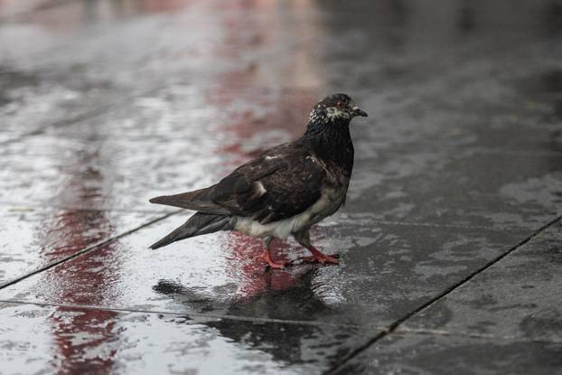 Kišovito vrijeme u Zagrebu