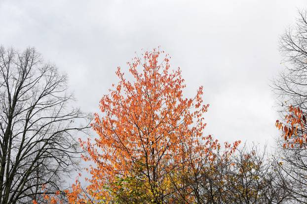 Vodice: Jesenja mističnost Ćićarije