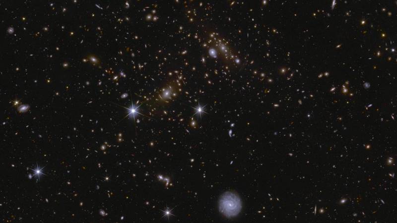 2025 03 19t110110z 446875887 rc2agdao4bjv rtrmadp 3 space exploration euclid