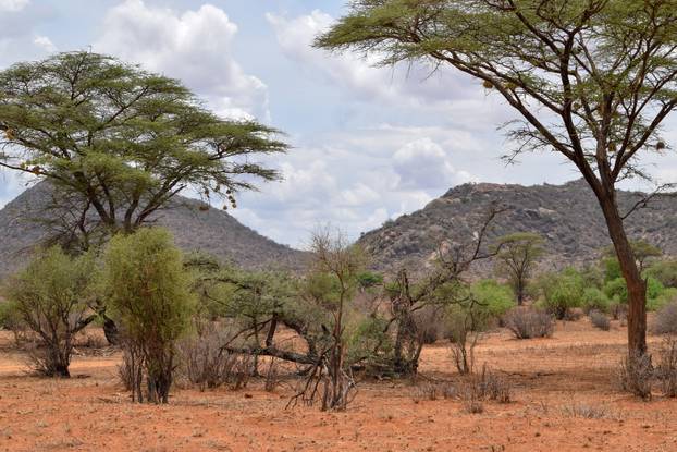 20 najboljih putovanja na koja morate otići u 2026. godini