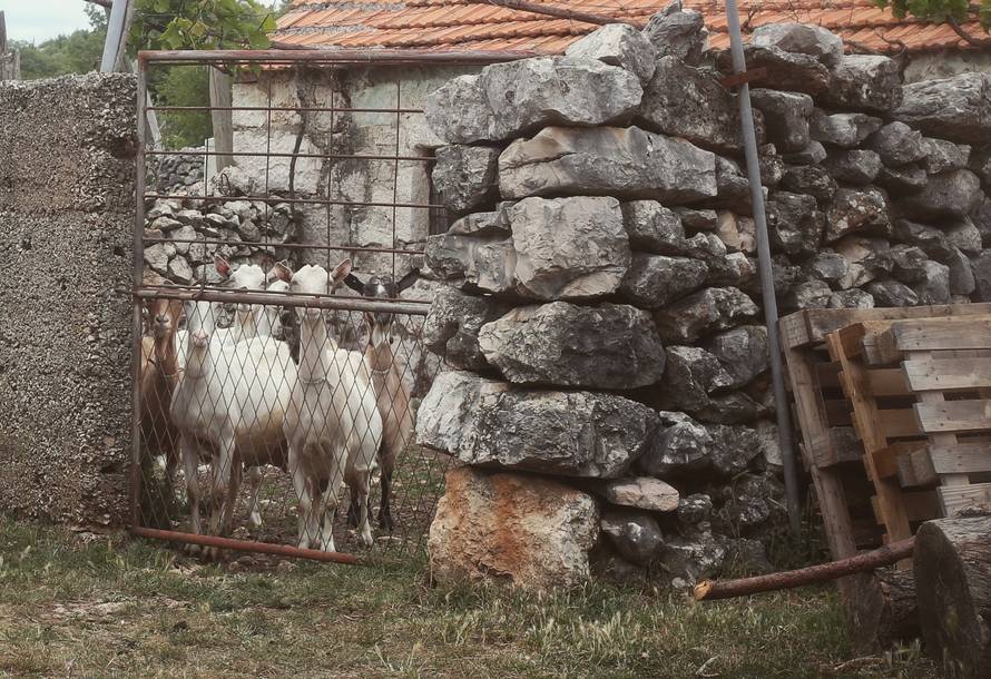 Bake iz Donjih i Gornjih Utora u Zagori: 'Nećete nas čipirati!'