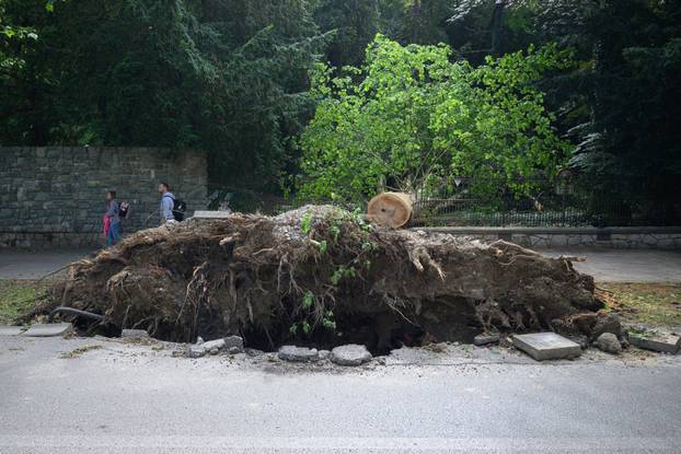 Zagreb: Veliko stablo srušilo se u Tuškancu i oštetilo ogradu kod javne garaže