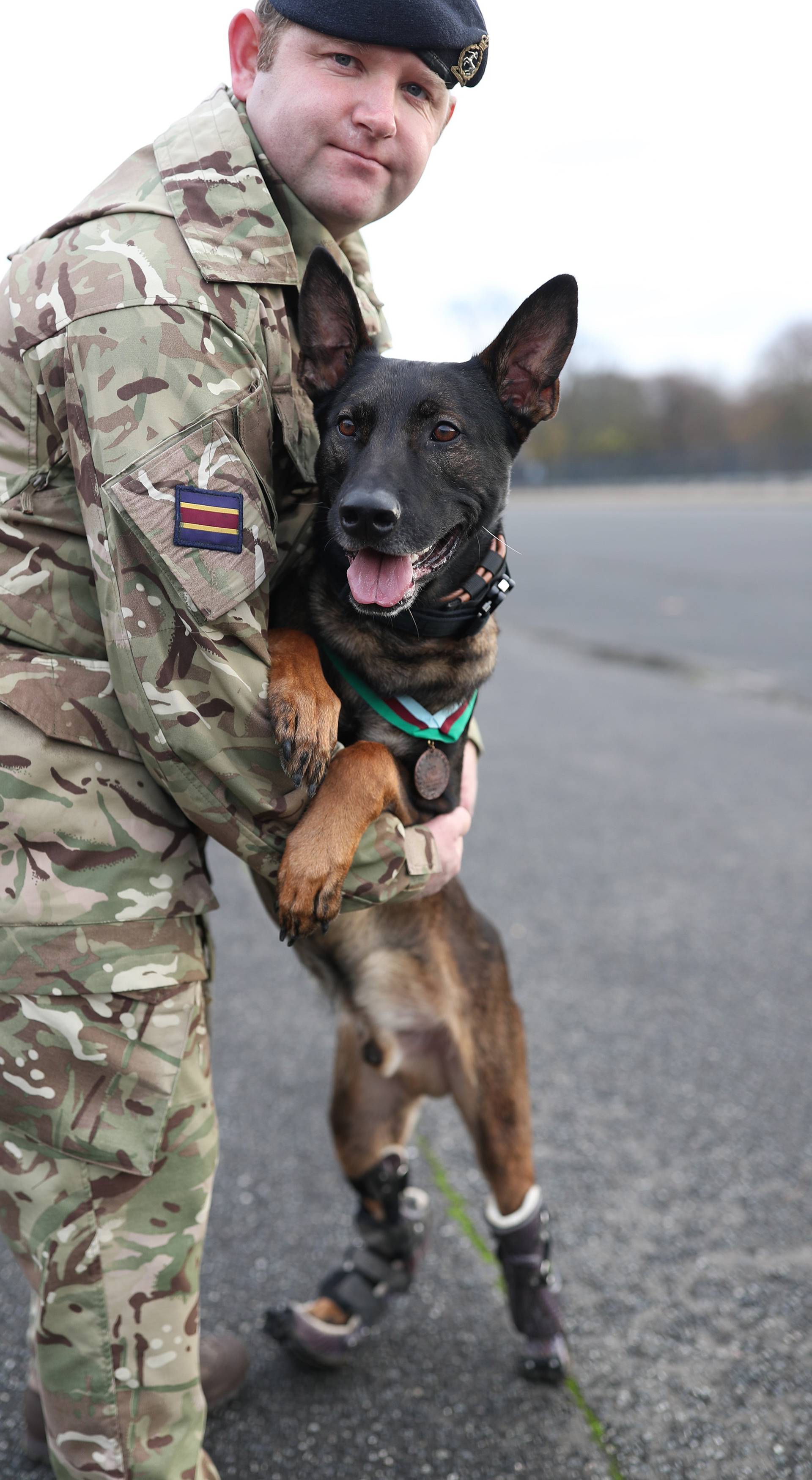 PDSA Dickin Medal for valour