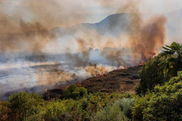 Opuzen: Izbio požar kod mjesta Vid u blizini Metkovića