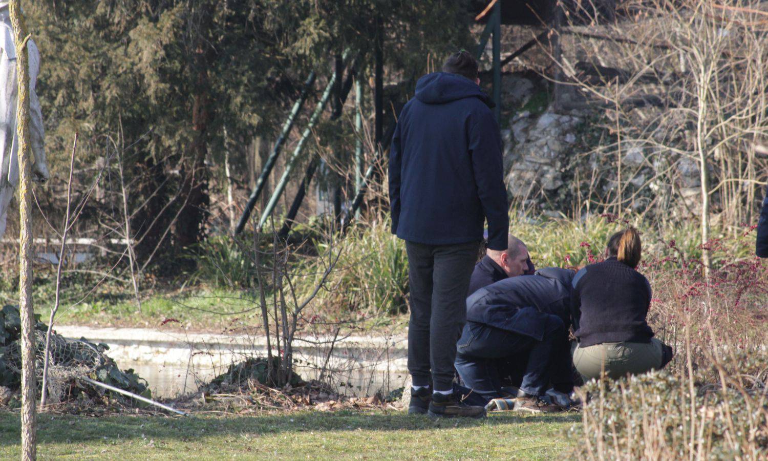 VIDEO Srna upala u zaleđeno jezero u zagrebačkom ZOO-u, spasili je: 'Nije imala ozljeda'