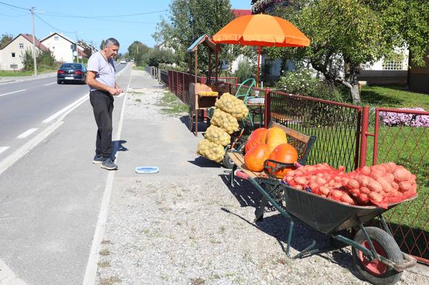Gospić: Prodaja ličkog krumpira uz cestu
