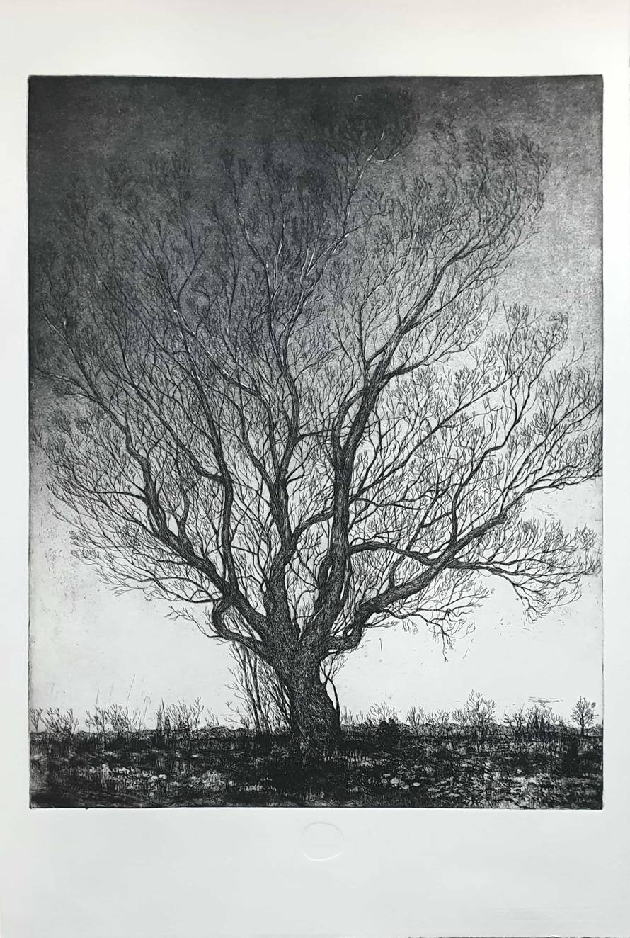 FECIT GROŽNJAN, međunarodni susret umjetnika, slavi već PETU godišnjicu!