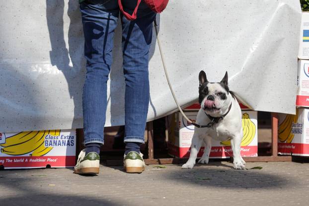 Zagreb: Sunčana nedjelja u centru grada