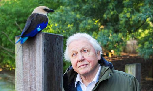 David Attenborough se ozlijedio na snimanju: 'Šiljci su uspjeli proći kroz dva dijela zaštite'