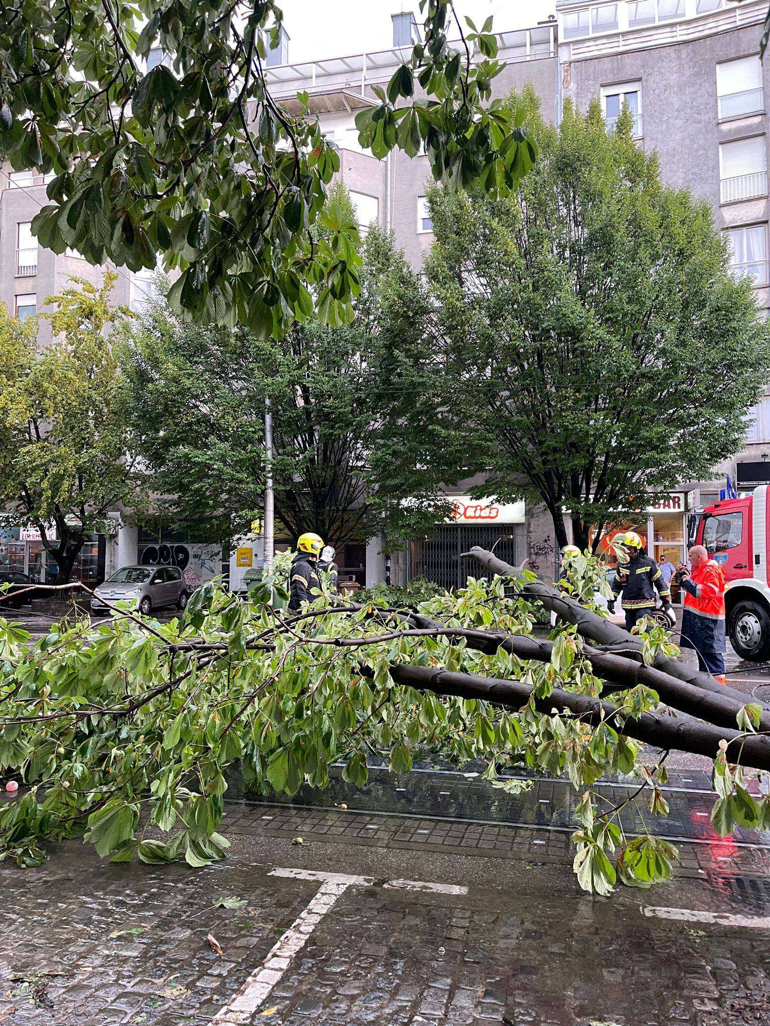 VIDEO Kaos u Maksimirskoj ulici zbog nevremena, oluja je trgala stabla i zaustavila promet