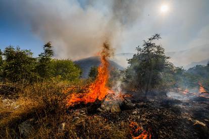 Veliki šumski požar u okolici Planog