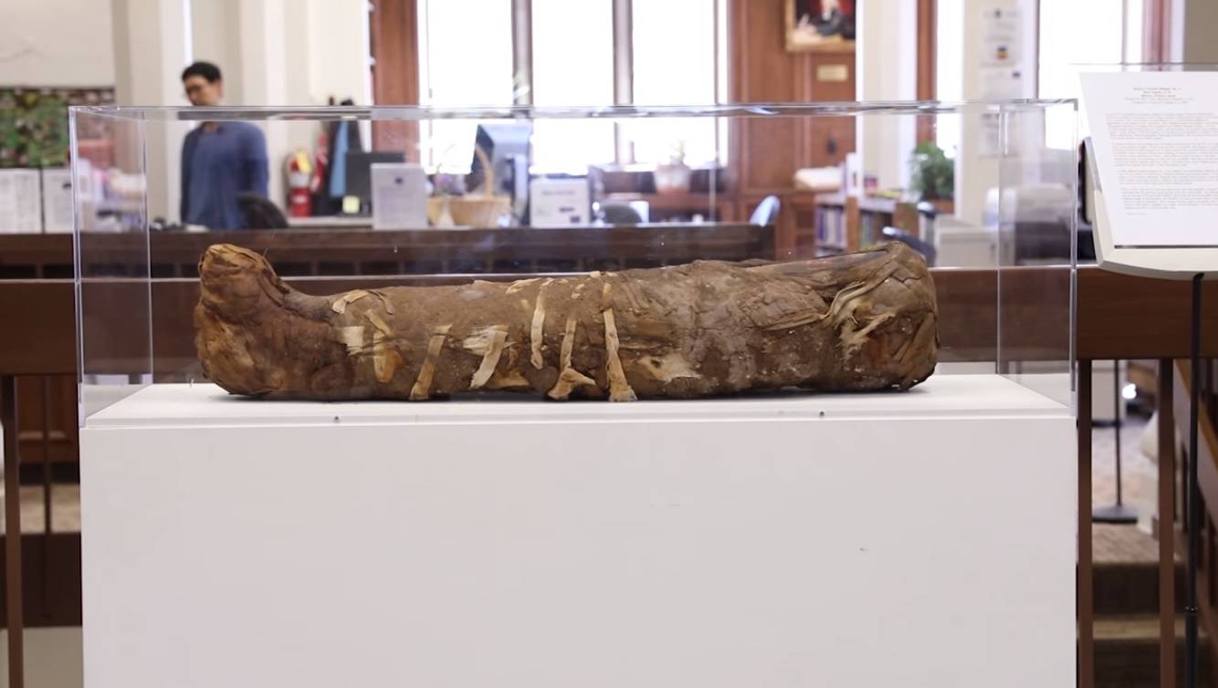 Moćnim skenerom otkrit će tajne male mumije iz Egipta