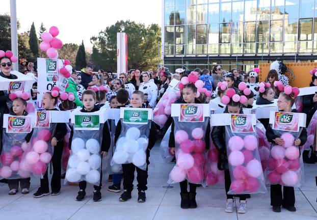 Šibenik: Maškarana povorka Šibenskog krnjevala 2026. prošetala je gradom sa 300 Dalmatinera