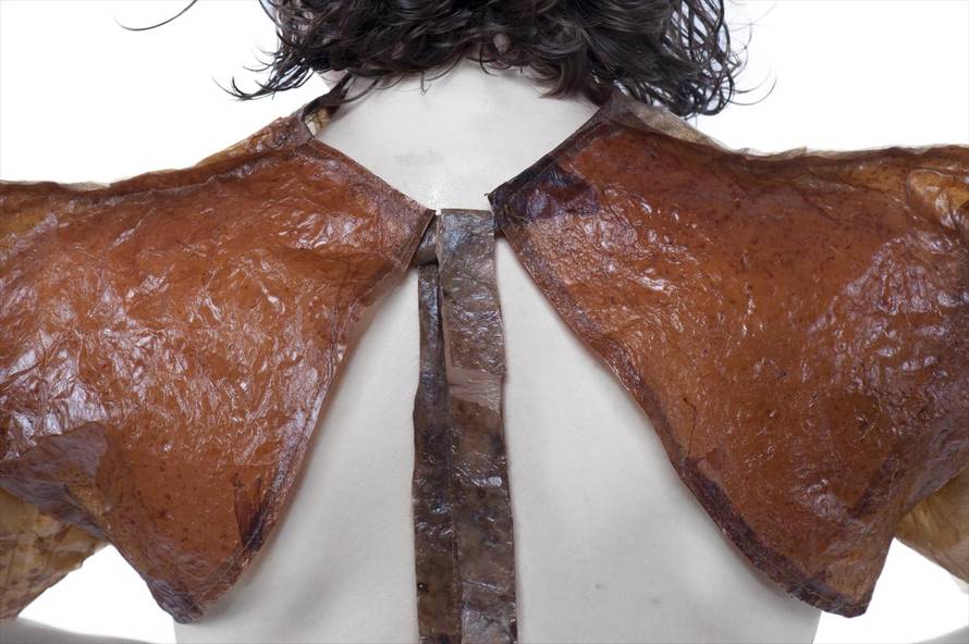 Maja je jedina biodizajnerica u regiji: 'Materijale za odjeću radim od algi, gljiva i bakterija'