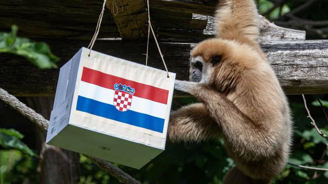 Zagreb: Kent prognozirao pobjedu u utakmici Hrvatske protiv Škotske
