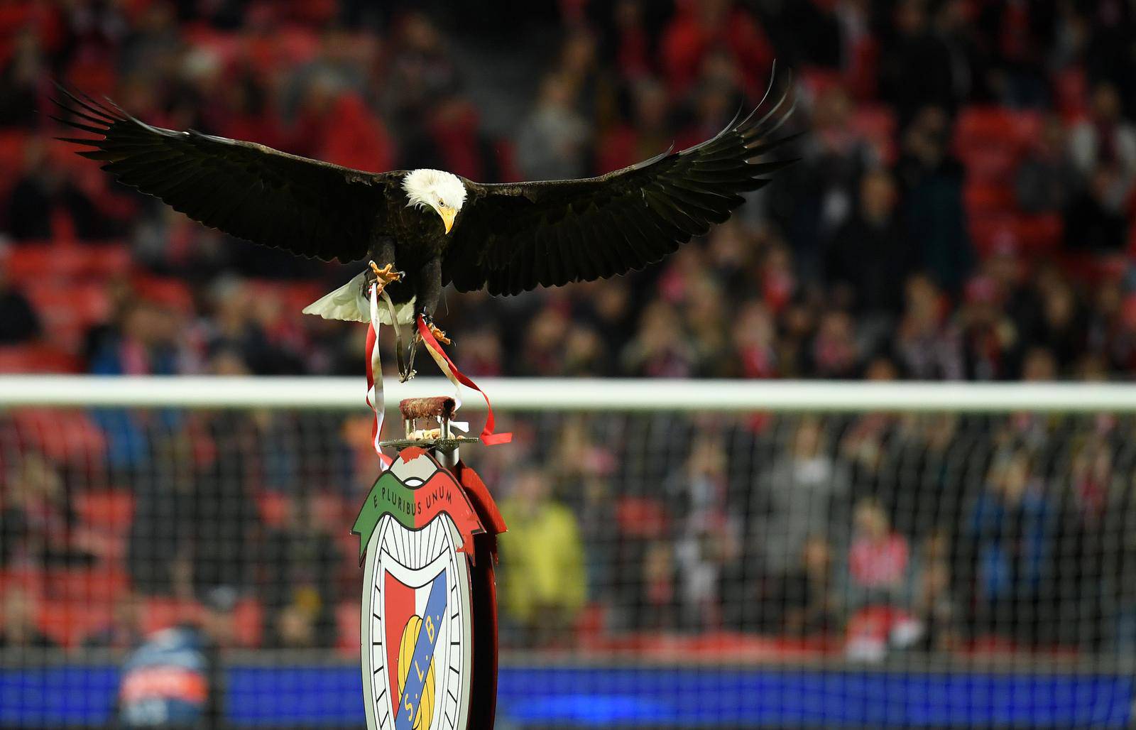 Lisabon Liga prvaka, Benfica - Borussia Dortmund