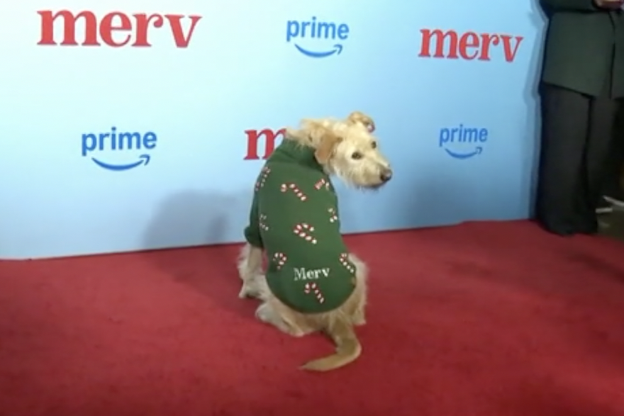 Dodijeljene nagrade najboljim psima u filmu