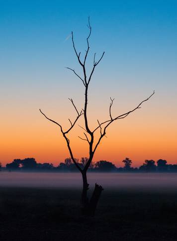 Morning mood in Brandenburg