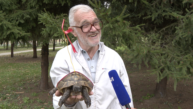 VIDEO Goran je prije 40 godina spasio kornjaču: 'Miki i ja smo otada nerazdvojni prijatelji'