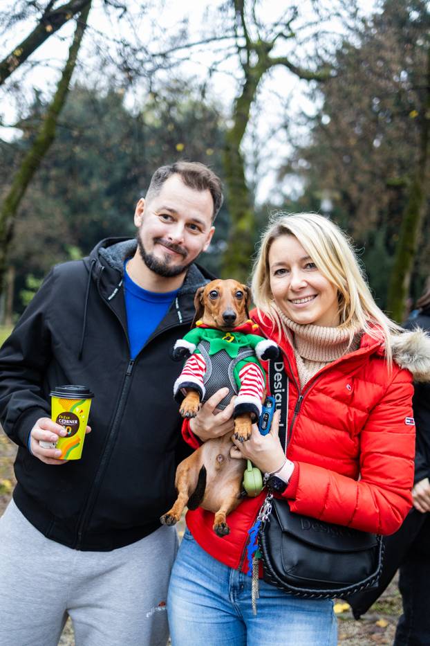 Zagreb: Adventska špica jazavčara 