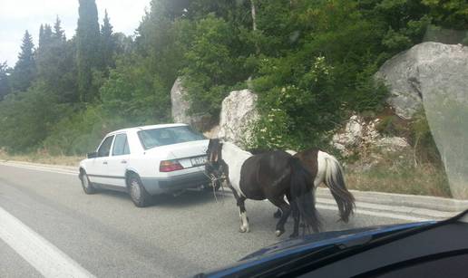 Majstor: Ponije je zavezao za mercedes i otišao na sajam...