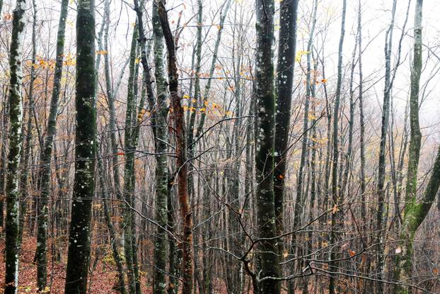 Vodice: Jesenja mističnost Ćićarije