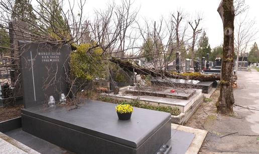 FOTO Na Mirogoju i dalje tu&zcaron;ni prizori: Silina vjetra i&scaron;&ccaron;upala drve&cacute;e, oluja uni&scaron;tila grobove