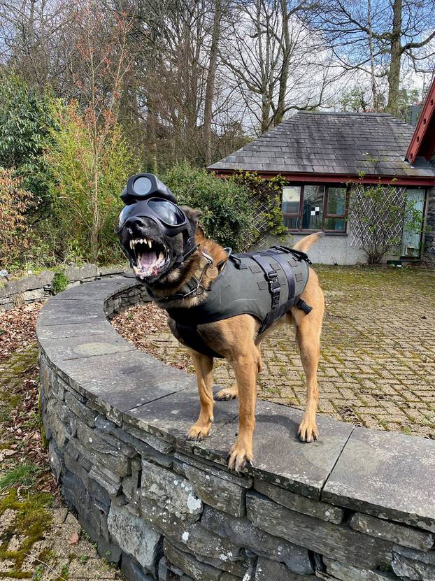 New high tech police dog cam puts criminals in the picture