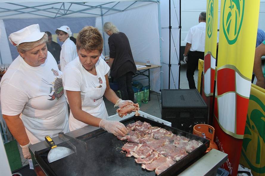 Marko Mrkonjić/PIXSELL