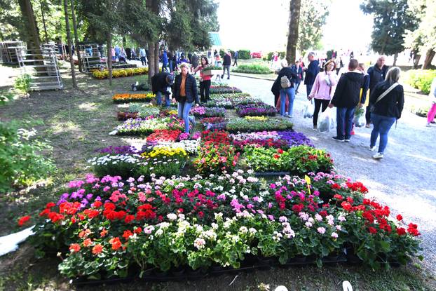 Daruvar: Sajam cvijeća, bilja i sadnica privukao mnogobrojne posjetitelje
