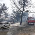 Požar kod Grebaštice pod kontrolom: 'Tijekom gašenja ozlijeđena su četiri vatrogasca'