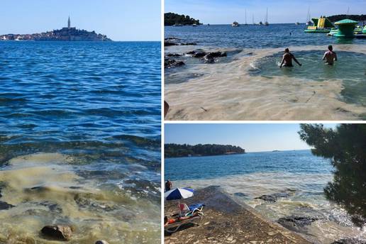 VIDEO: Turiste zgrozile plaže u Istri: 'Pune su prljavštine i sluzi' Stručnjaci: 'I dalje cvjeta more'