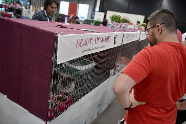 Zagreb: Međunarodna izlozba mačaka privukla brojne posjetitelje u Family Mall