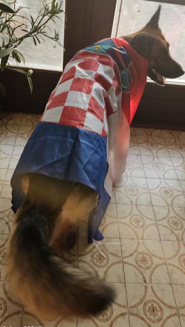 FOTO Čak su i njemački ovčari za nas! Ovako se hrvatski navijači nabrijavaju za polufinale Eura