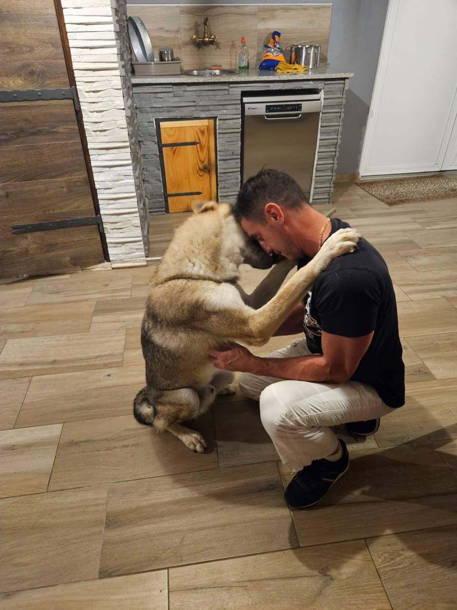 Očajni vlasnici: Naš Aki nestao je kod Rijeke. Nudimo 10.000 €