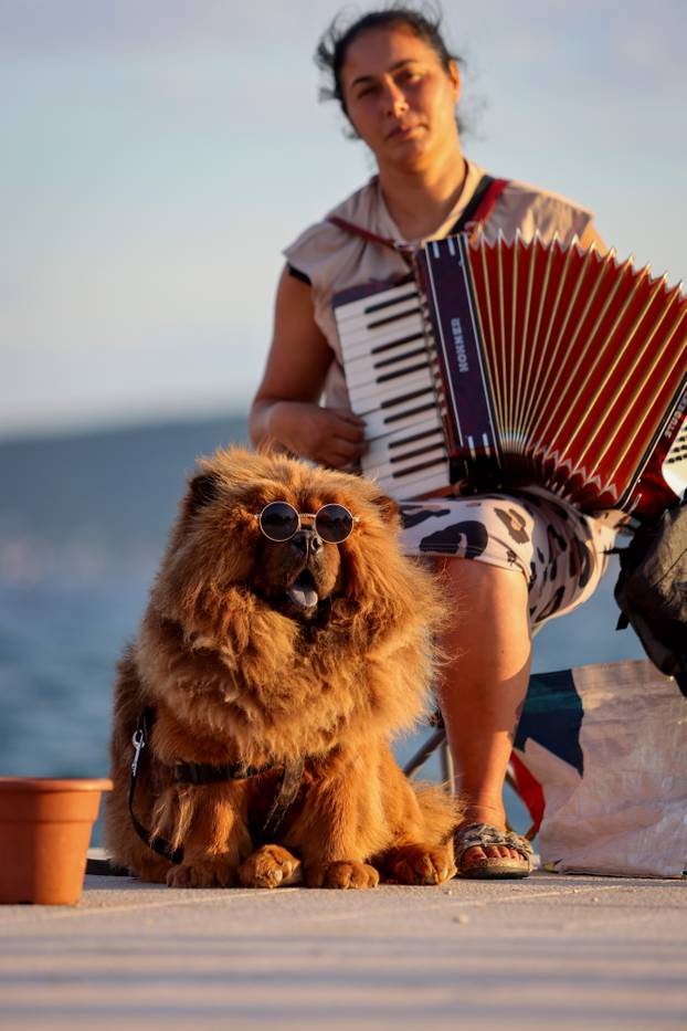 Zadar: Turisti uživaju u šetnji gradom
