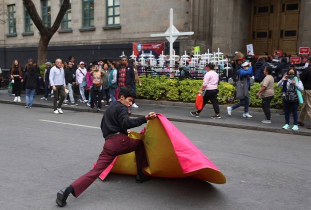 Animals rigths supporters and bullfighting supporters protest in Mexico City