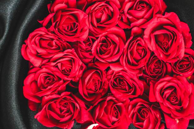 Bright red roses arranged elegantly on a black background for a striking visual display