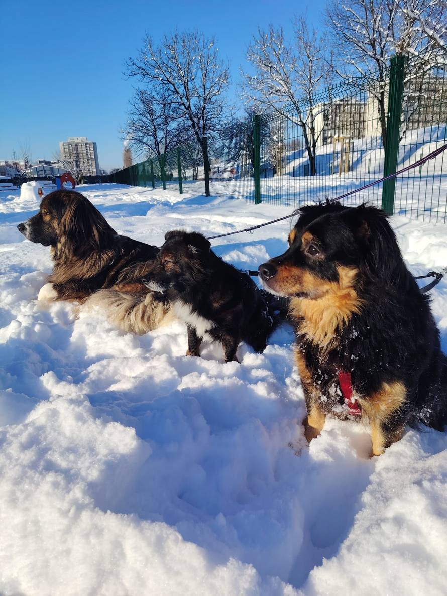 Općinska komunalka sama 'izlopatala' snijeg sa staze: 'Nema nikakve drame u tome'