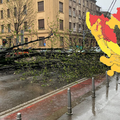 CRVENI METEOALARM Podigli razinu upozorenja za Zagreb! Vjetar ru&scaron;i stabla po gradu...