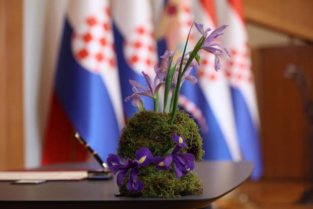 POOL: Milanovi?evu inauguraciju ukrašavat ?e iris